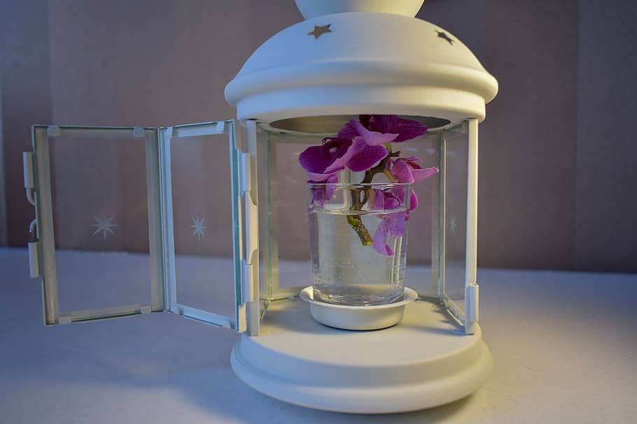 flower, candlestick, indoors, glass - material, transparent HD wallpaper
