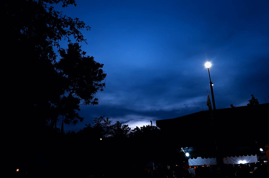 night, the sky, dark, tree, building exterior, plant, architecture HD wallpaper