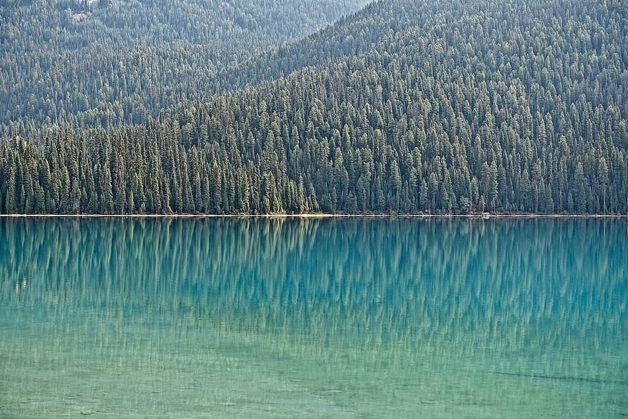 body of water near mountain during daytime, forest shore, reflection HD wallpaper