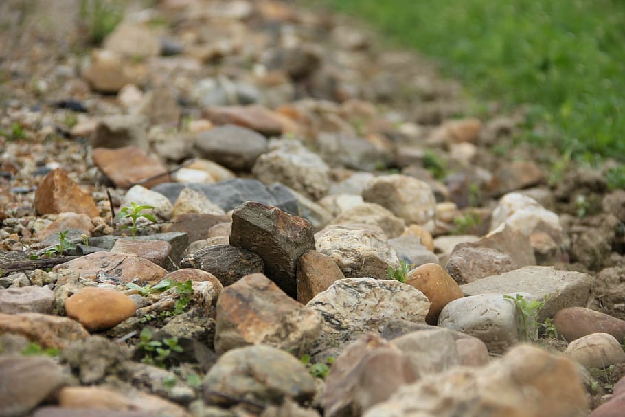 path, pierre, nature, solid, rock, stone - object, selective focus HD wallpaper