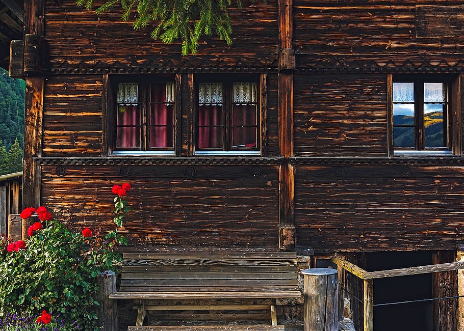 Red Petaled Flower by Porch of Brown Wooden House, architecture HD wallpaper