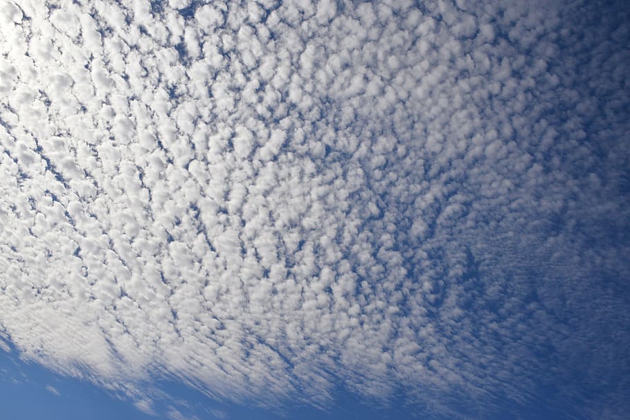 sky, blue, cloud, nature, blue sky, sun, sheep, summer, air HD wallpaper