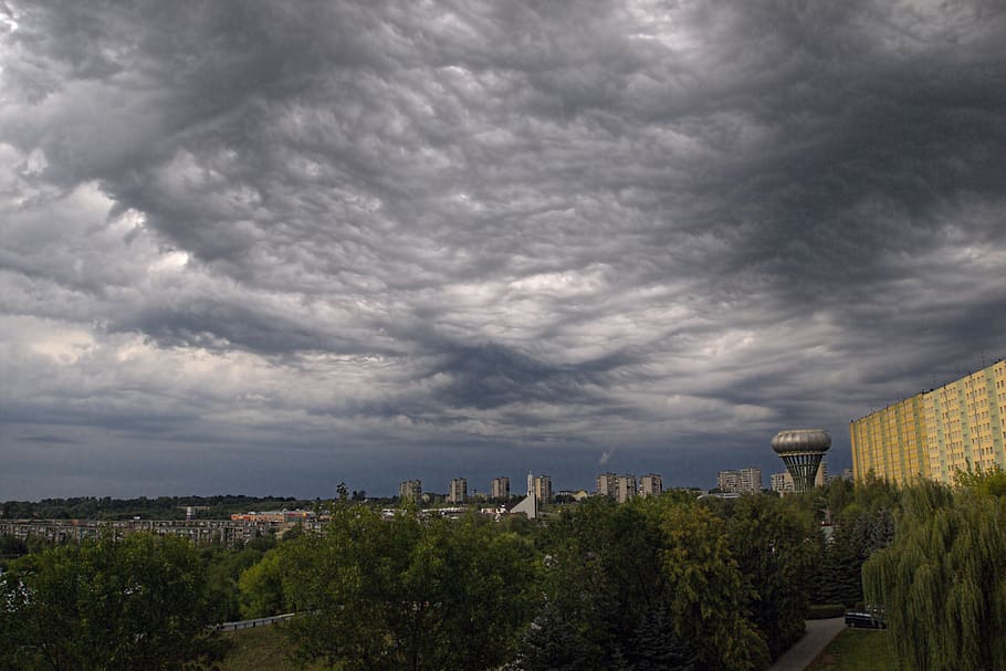 panoramic, sky, tree, cloud, nature, weather, tarnow, poland HD wallpaper