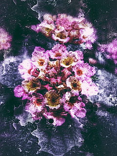 creative, floral, spring, design, flower, pattern, banner, plant HD wallpaper