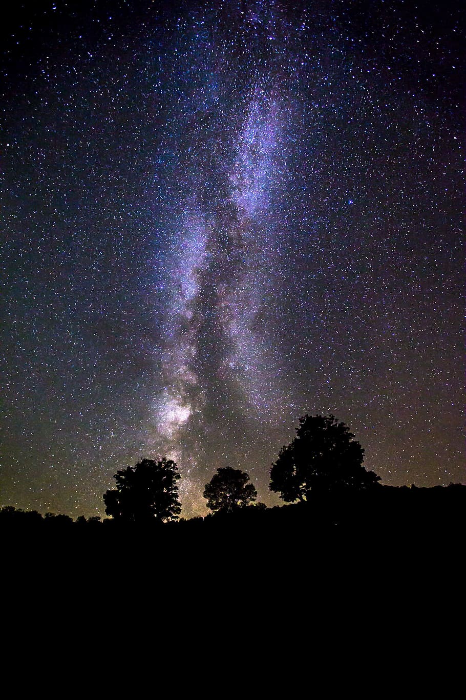 silhouette of trees under milky way galaxy, photo of three silhouette of trees under starry night