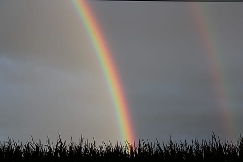 Sky, Rainbow, Dark, storm, nature, night, grass, backgrounds HD wallpaper