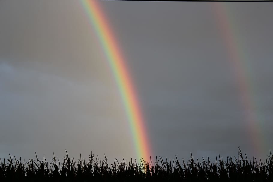 Sky, Rainbow, Dark, storm, nature, night, grass, backgrounds HD wallpaper