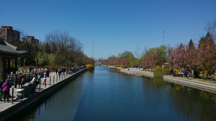 canal, spring, outing, visitor, water, natural, crowd, group of people HD wallpaper