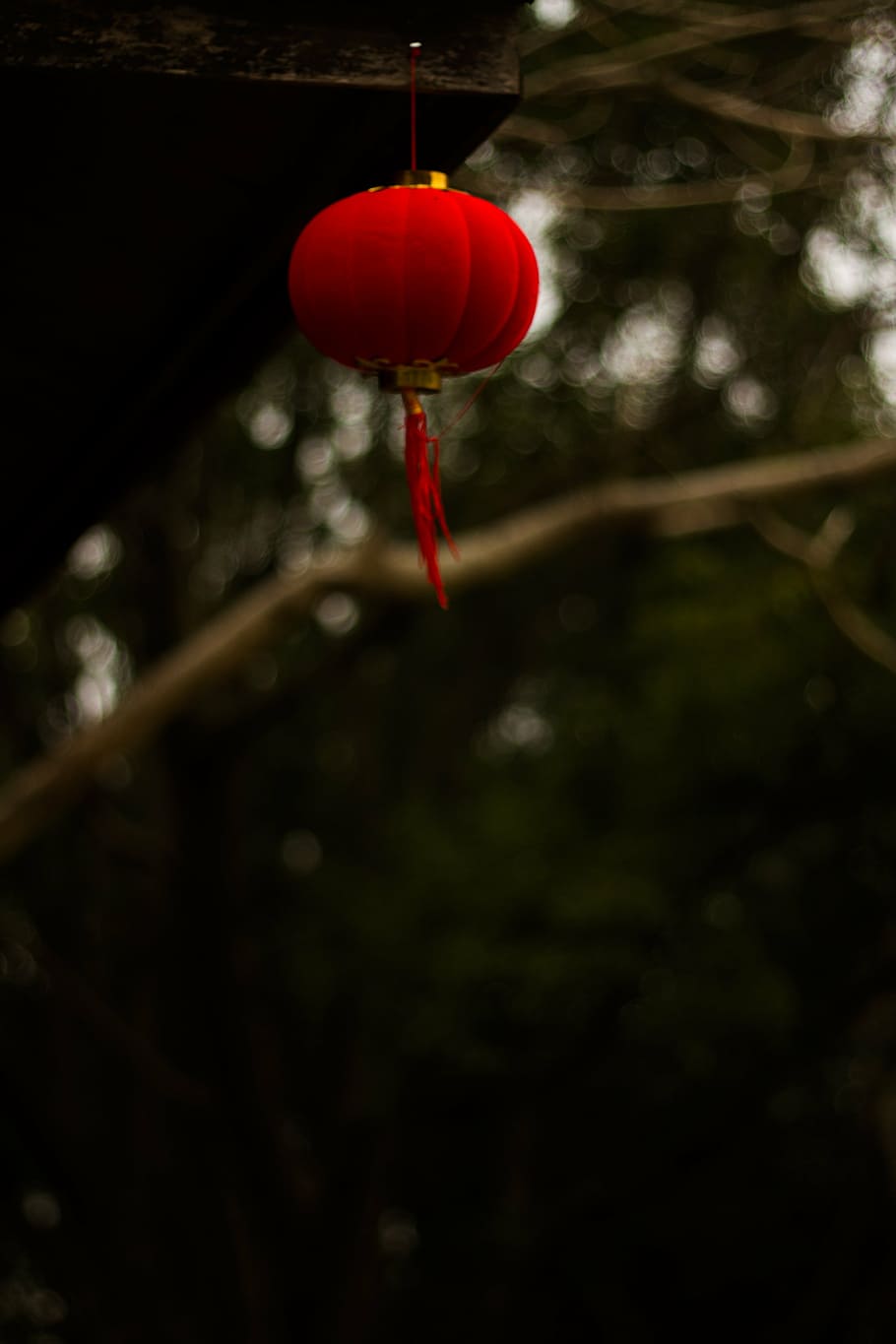 china wind, lantern, putuo, red, nature, no people, day, tree HD wallpaper