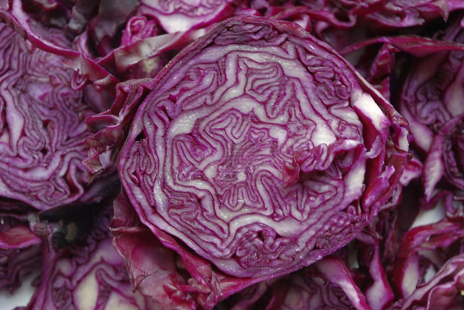 photo of purple and white sliced vegetables, red cabbage, kohl HD wallpaper