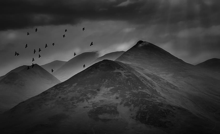 gray scale of maintain and flocks of bird, lake district, mountains HD wallpaper