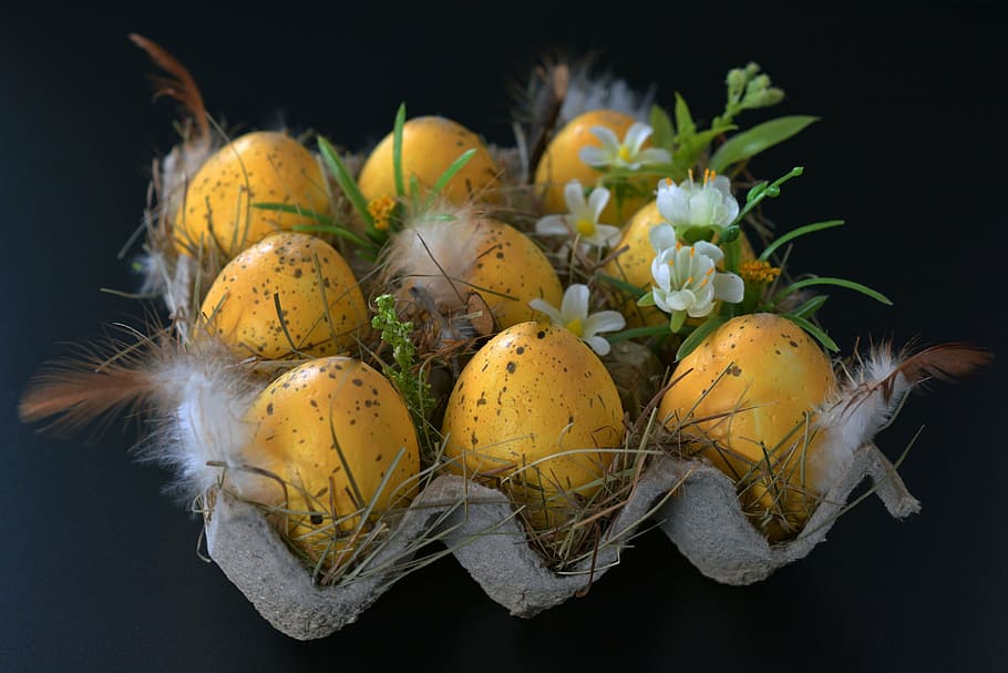 nine yellow eggs in gray egg tray, easter eggs, easter nest, spring