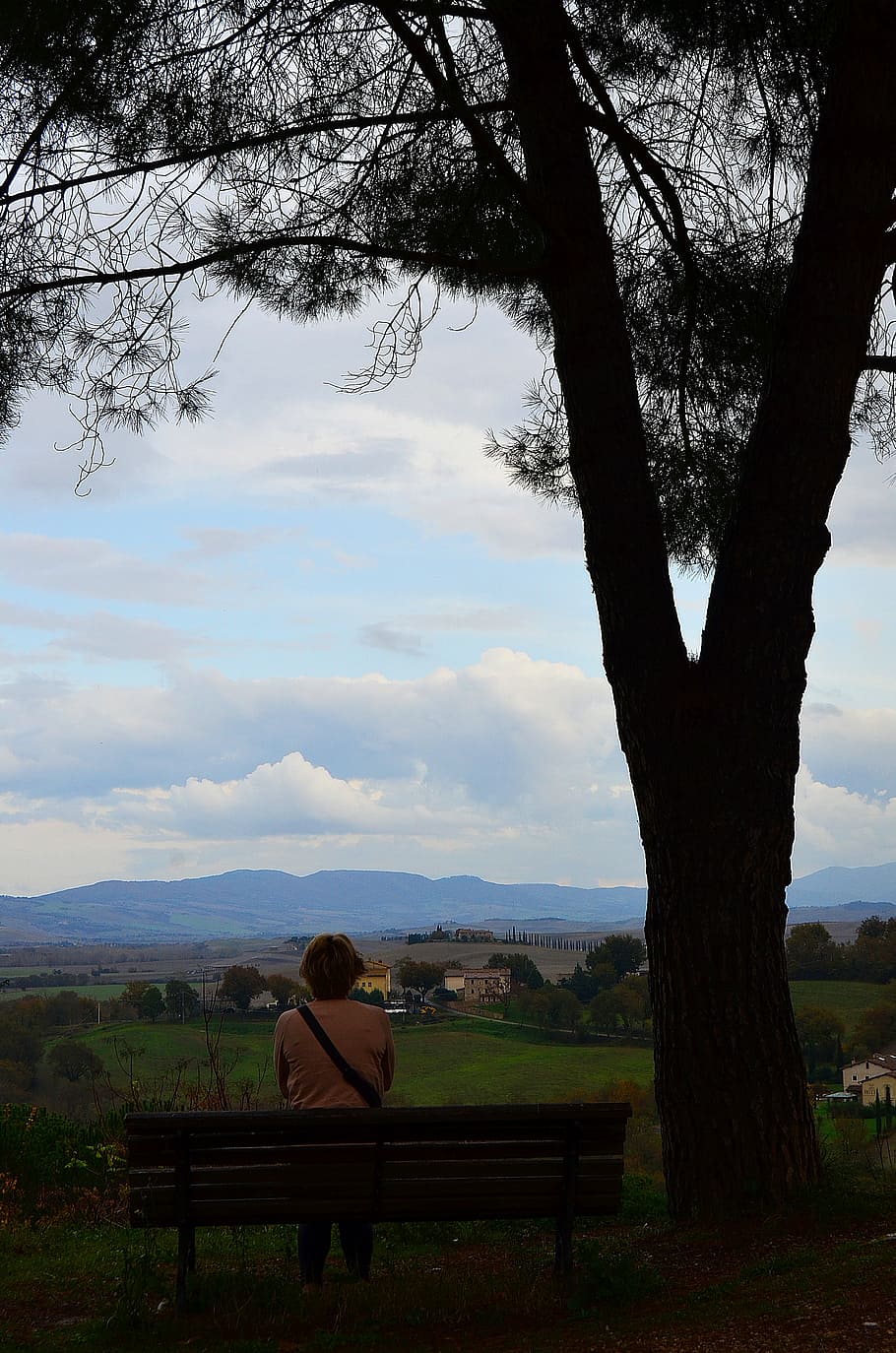 tree, man, bench, far away, mountains, hills, italy, tuscany HD wallpaper