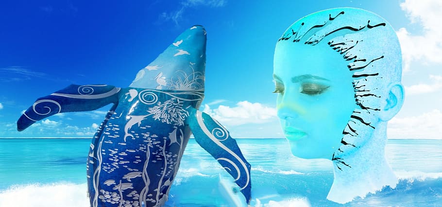 waters, nature, ocean, background, blue, fantasy, wal, sea HD wallpaper