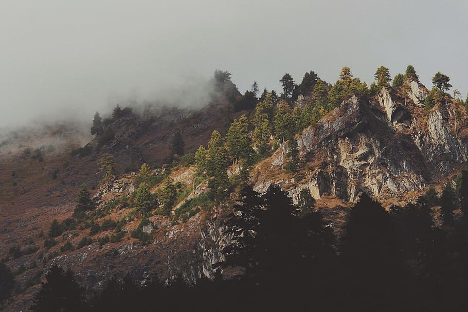 bird's eye view of hills covered with trees, green leafed trees on rock mountain HD wallpaper