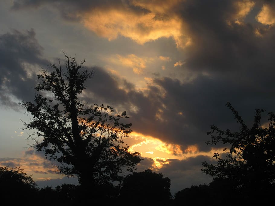 Sun, Setting, Cloud, Field, France, tree, silhouette, cloud - sky HD wallpaper