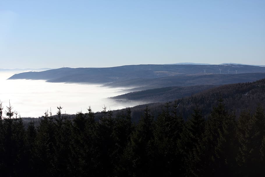 inversion, the ore mountains, coast, clouds, fog, sky, tree HD wallpaper