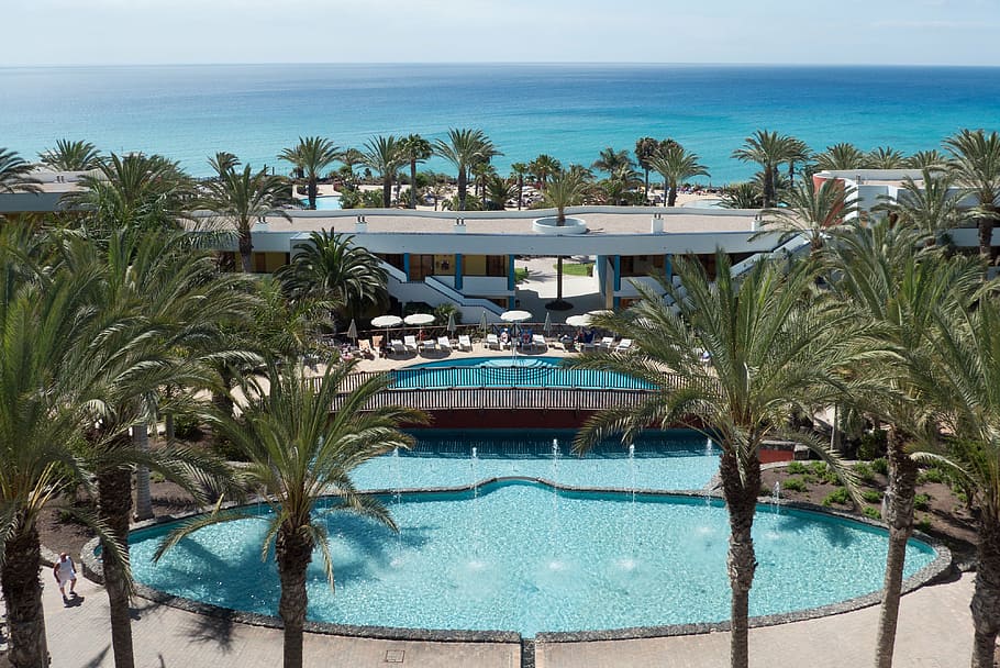 hotel, balcony views, pool, water, tropical climate, palm tree HD wallpaper