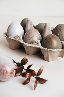 six gray poultry eggs on brown tray, gray and white eggs on tray HD wallpaper