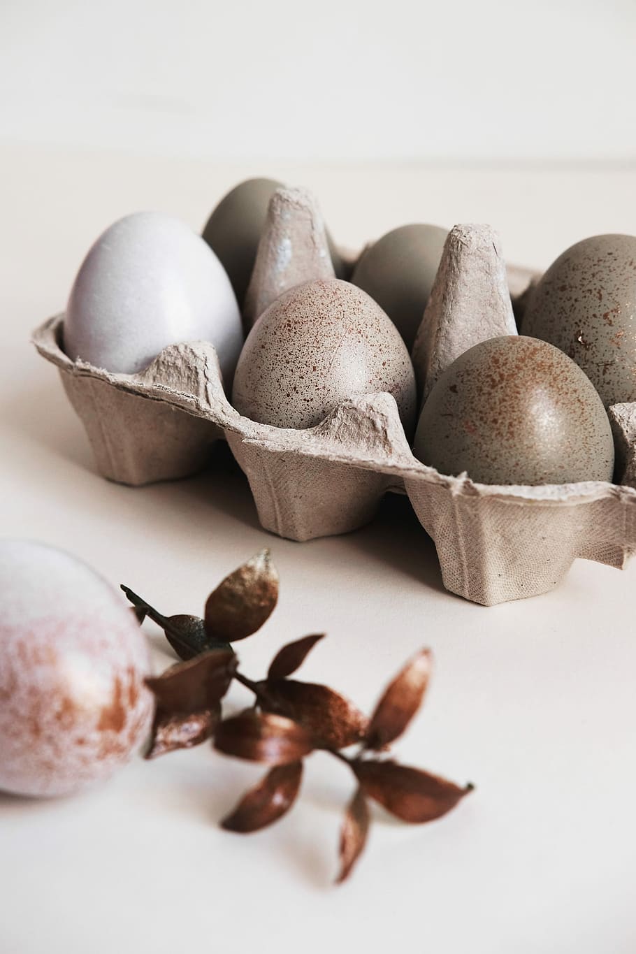 six gray poultry eggs on brown tray, gray and white eggs on tray HD wallpaper