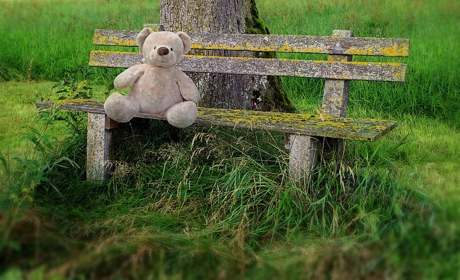 brown teddy bear on brown wooden bench during daytime, park bench