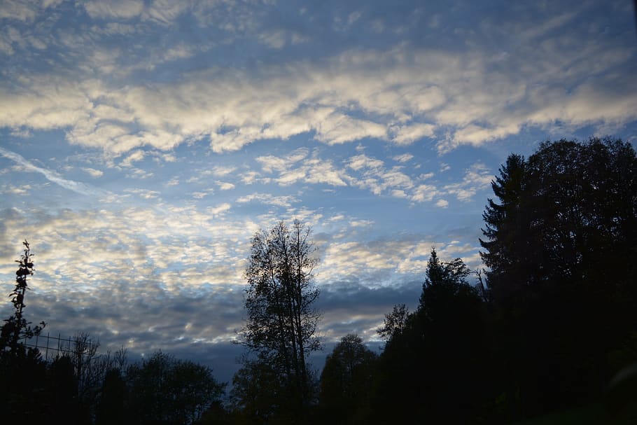 nature, tree, sky, panorama, cloud, cloud - sky, plant, beauty in nature HD wallpaper