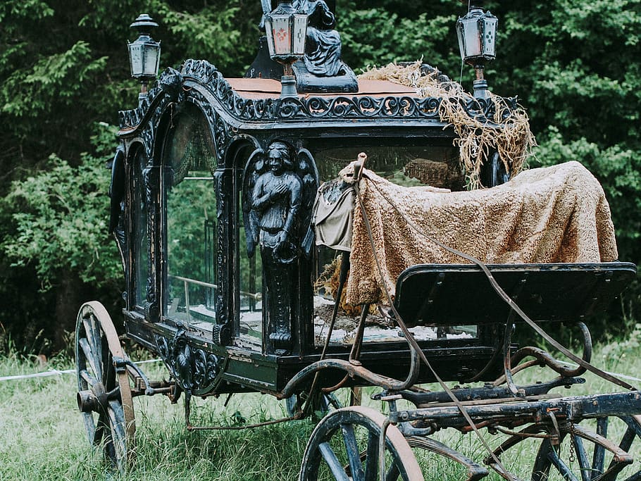 black and brown metal carriage on grass field, black carriage on green grass HD wallpaper