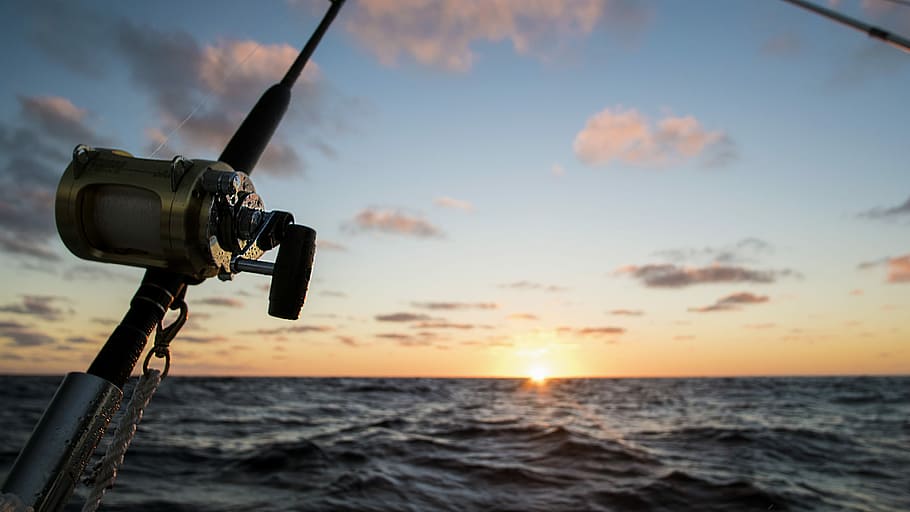 silhouette of fishing rod facing sunset, gray and black fishing rod under blue and white cloudy sky during golden hour