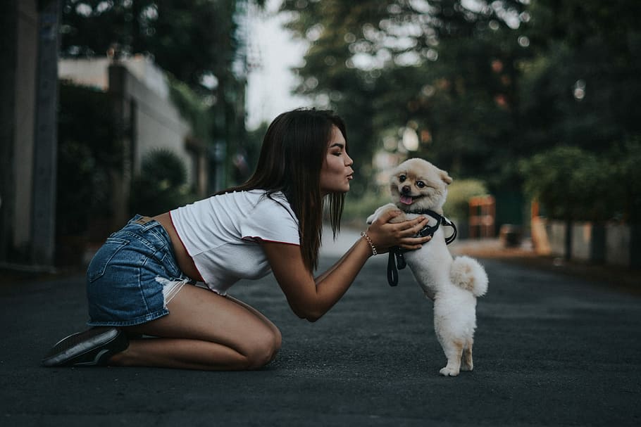 woman petting Pomeranian dog, woman holding and kissing Pomeranian, HD wallpaper