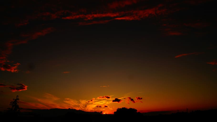Sunset - VI, silhouette photo of trees, sky, orange, sunrise HD wallpaper