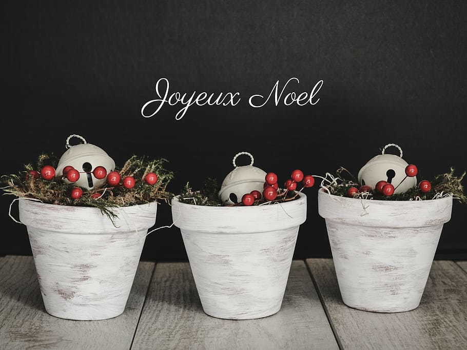 photo of three berries plants in white pots on white surface HD wallpaper