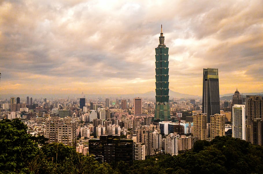 HD wallpaper: Taipei 101, concrete buildings surrounded of trees, city ...
