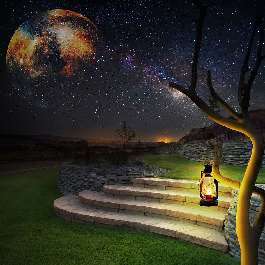 kerosene lamp hanging on bare tree during night time, space HD wallpaper