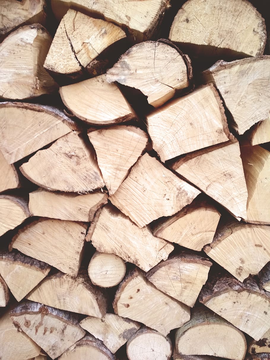 cutting, firewood, texture, model, the bark, tree, full frame HD wallpaper