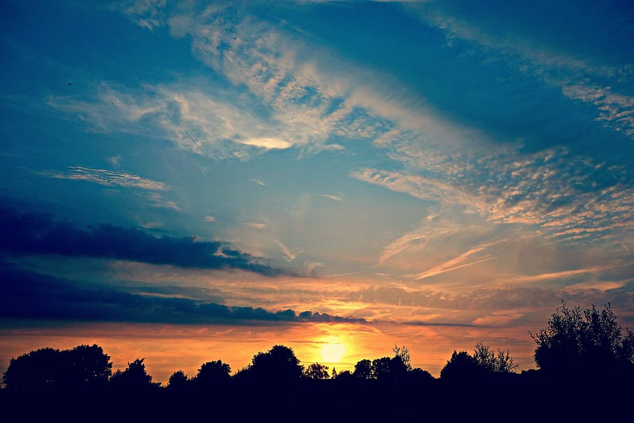 trees under mid cloudy sky during golden hour, sunset, evening sky HD wallpaper