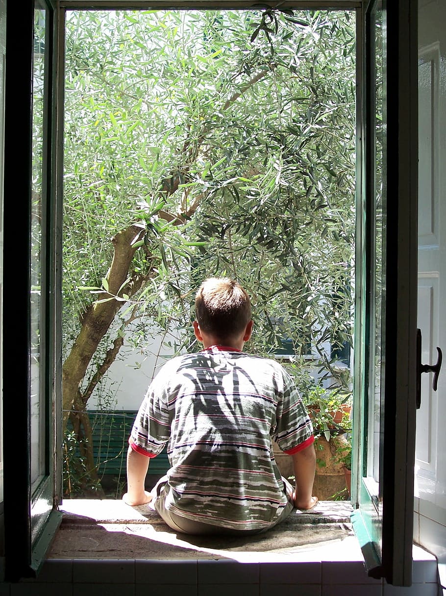 window, guy from behind, olivo, olive tree, trees, leaves, one Person HD wallpaper
