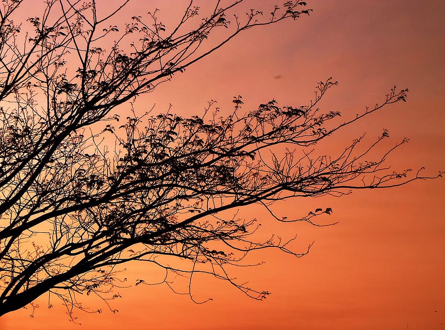 dawn, tomorrow, sunset, shadows, red, black, landscape, clouds HD wallpaper