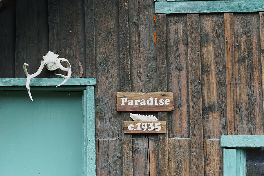 old, wood, building, texture, vintage, paradise, colorado, weathered HD wallpaper