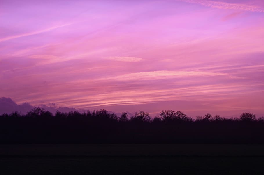 silhouette photo of trees under purple and red sky during sunset HD wallpaper