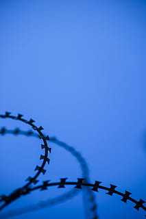barbed wire, sharp, razor, danger, blue, military, war, backgrounds HD wallpaper