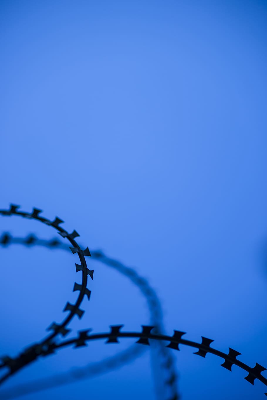 barbed wire, sharp, razor, danger, blue, military, war, backgrounds, HD wallpaper