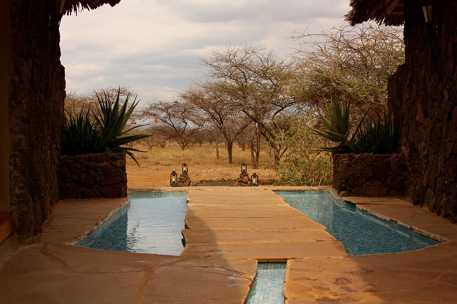 green leafed trees, Spa, Luxury, Camp, Hotel, Safari, Africa HD wallpaper