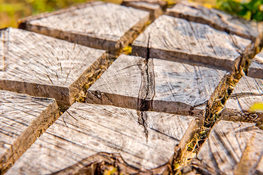 background, brown, district, section, detail, timber, nature HD wallpaper