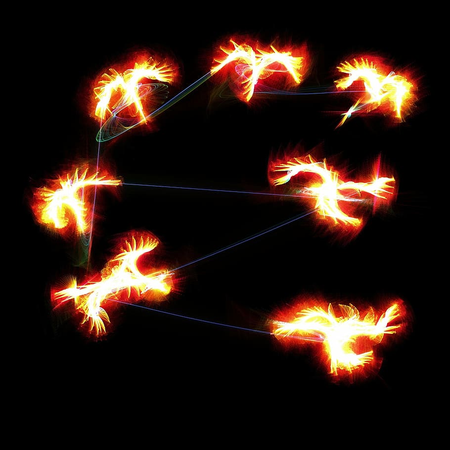 birds, light, design, flying, wildlife, black, glowing, illuminated HD wallpaper