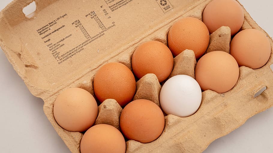 ten organic eggs on box, different, difference, food, food and drink, HD wallpaper
