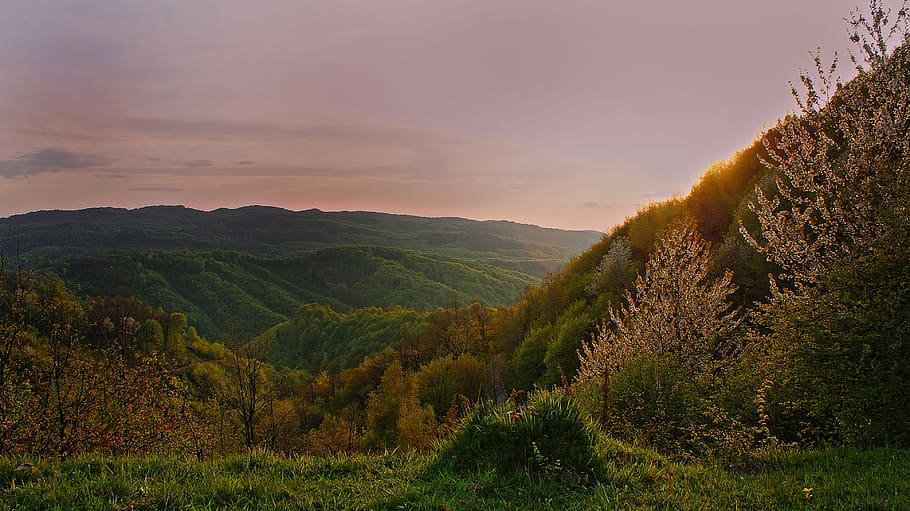 landscape photography of green mountains and trees, nature, scenics HD wallpaper