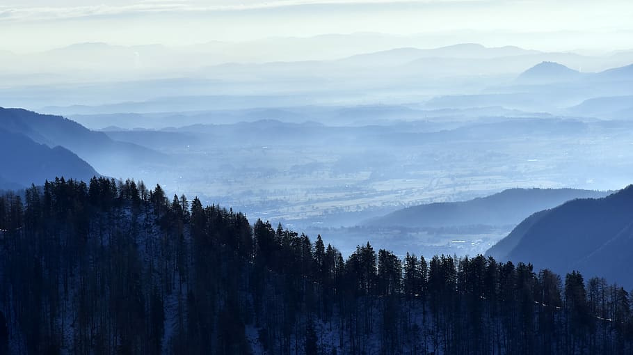 forest aerial photography, green pine trees, landscape, valley HD wallpaper