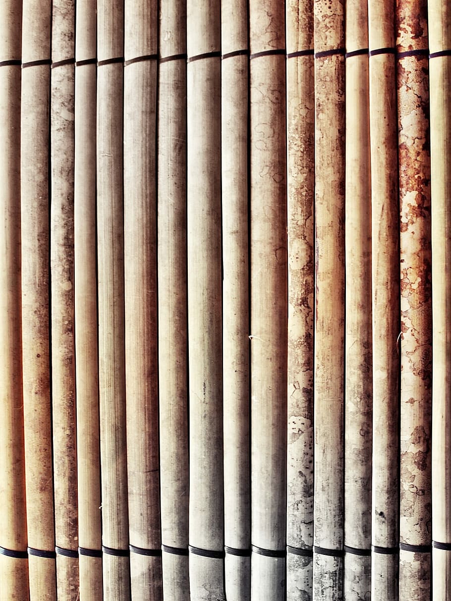 Bamboo, Asia, Wood, Pattern, Structure, document, background HD wallpaper