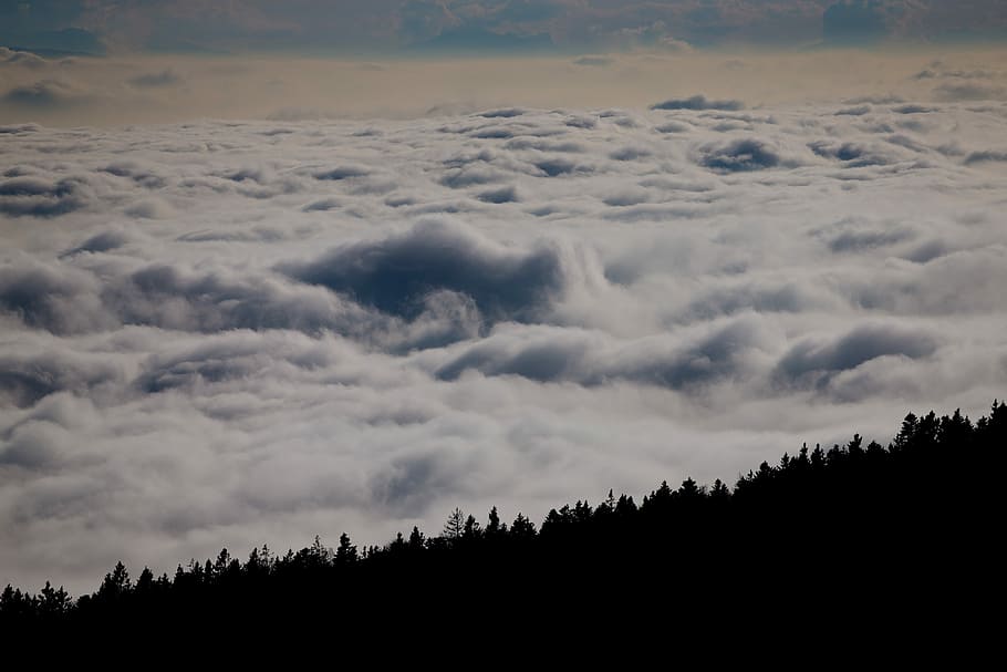 clouds over forest silhouette, aerial photo of white clouds, sky HD wallpaper