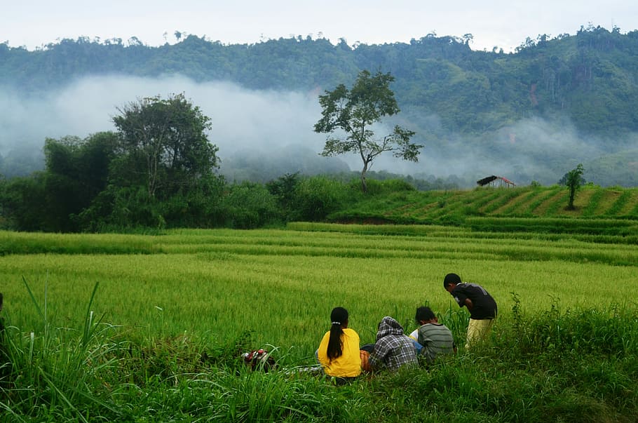 three person sitting on grass field beside boy bowing, Rice, Kids